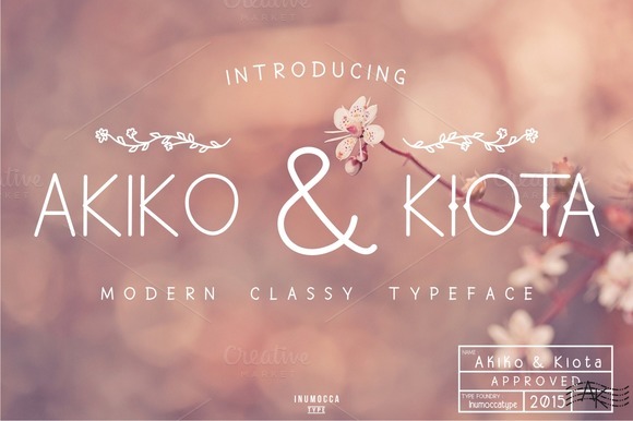 Akiko and Kiota Font for Modern Marketing Design