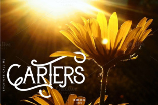 Carters Font: Elevating Small Business Branding