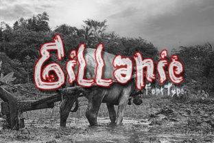 Gillanie Font: A Modern Typeface for Makers