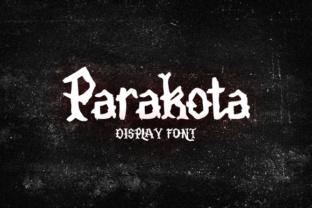 Parakota Font Review: Elevating Small Business Branding