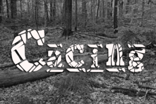 Transform Your Brand with the Cacing Display Font